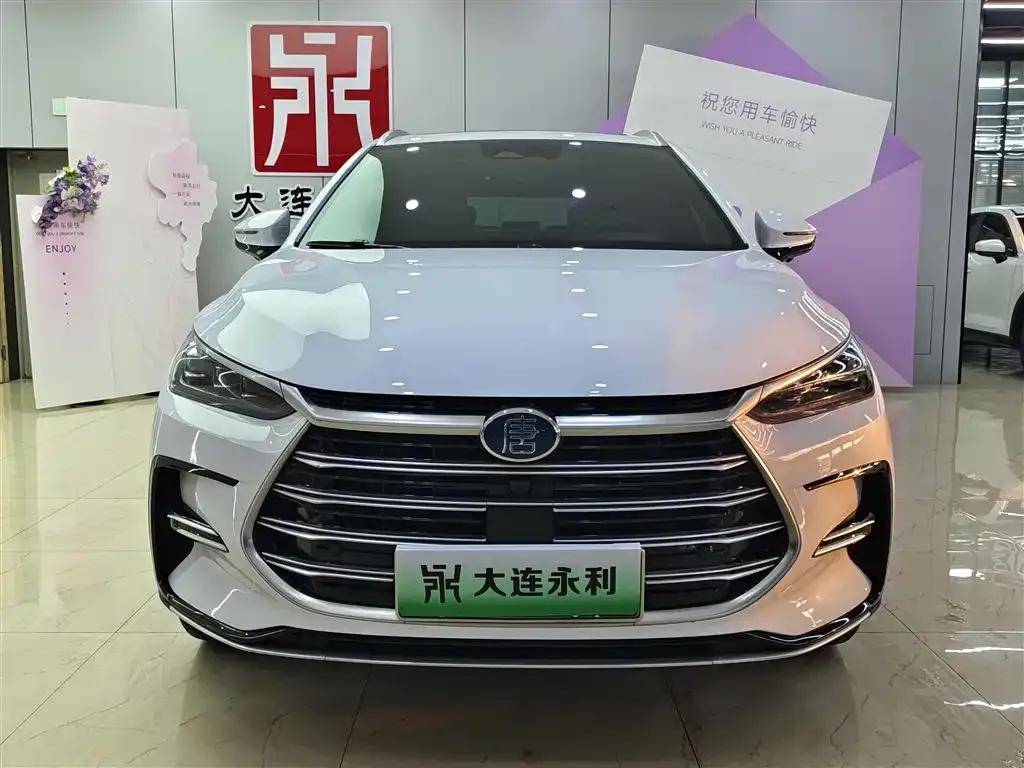 BYD Tang New Energy — фото 8