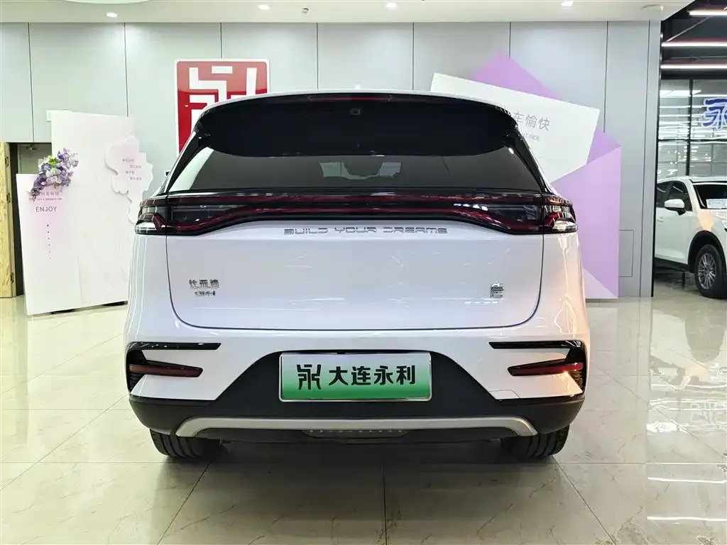 BYD Tang New Energy — фото 2