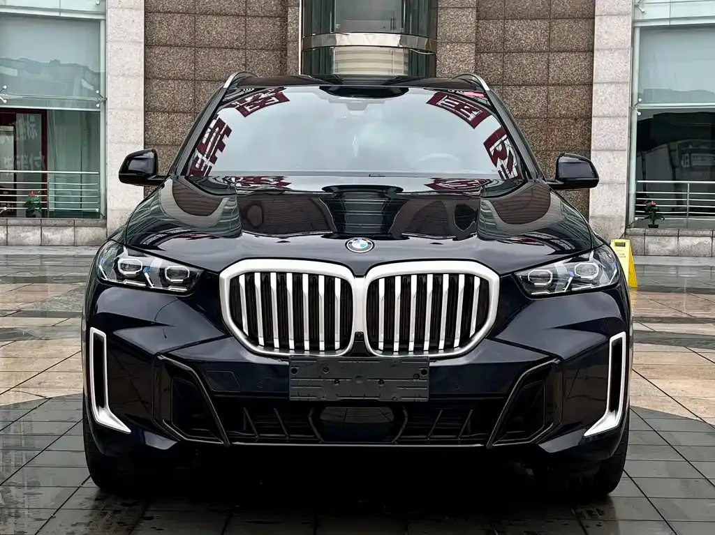 BMW X5 — фото 6