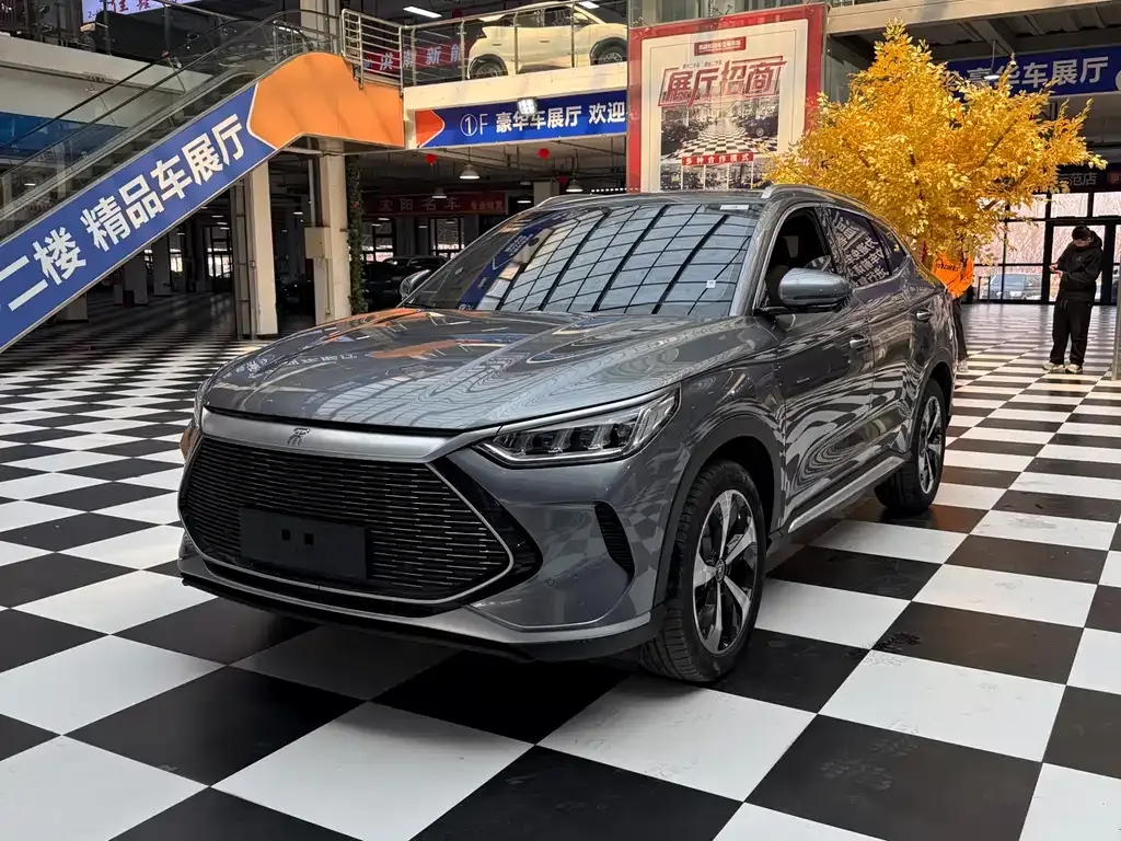 BYD PLUS New Energy 2023 из CN, фото 1