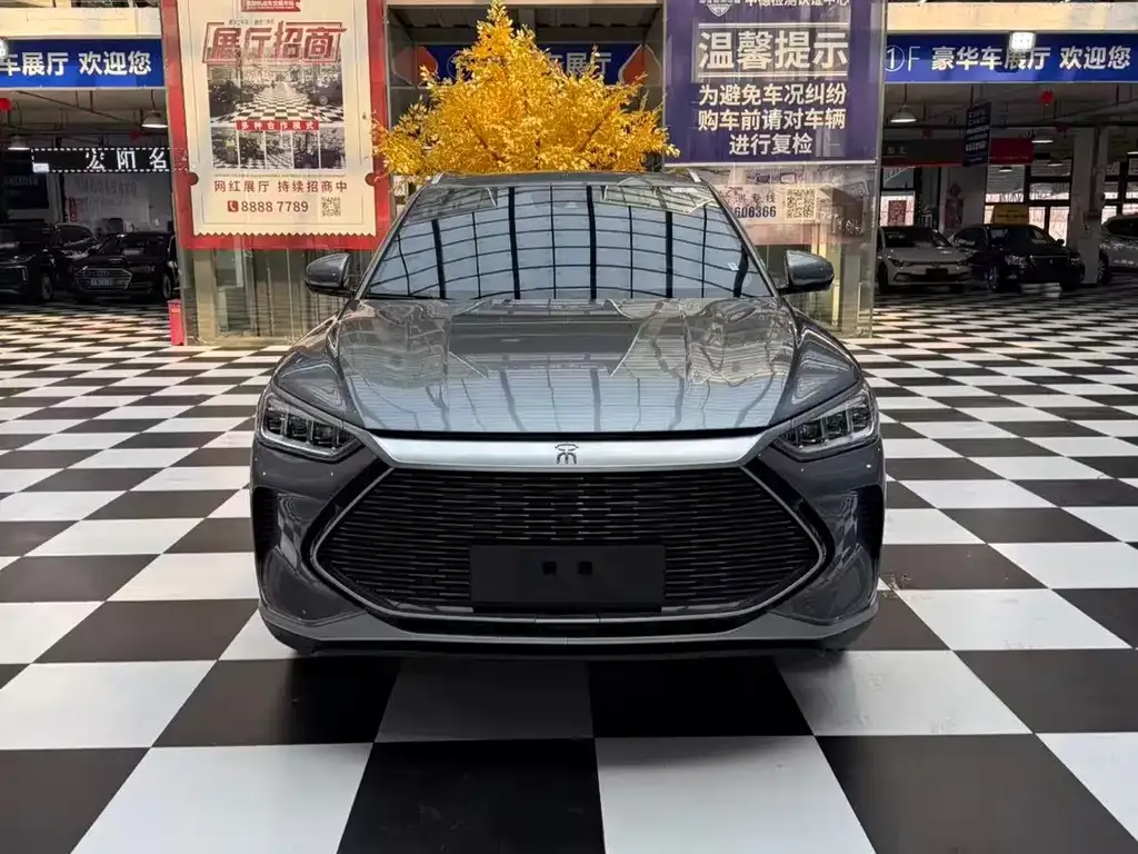 BYD PLUS New Energy 2023 из CN, фото 8