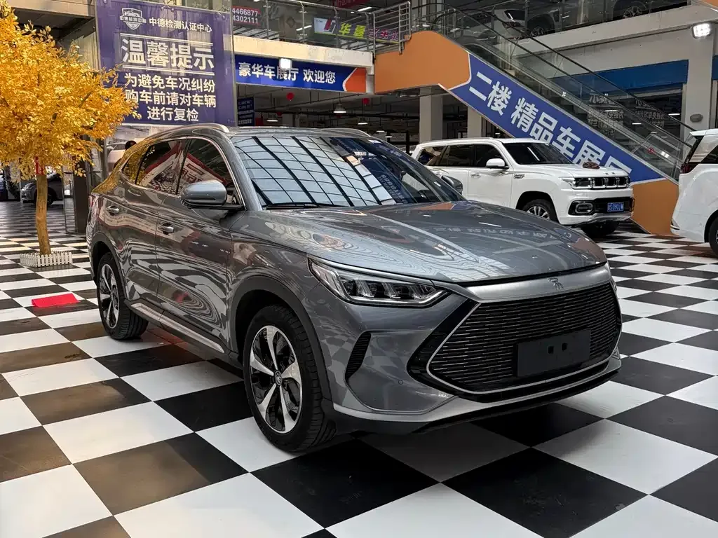 BYD PLUS New Energy 2023 из CN, фото 9