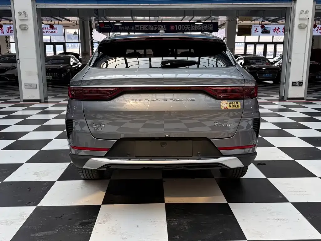 BYD PLUS New Energy 2023 из CN, фото 2