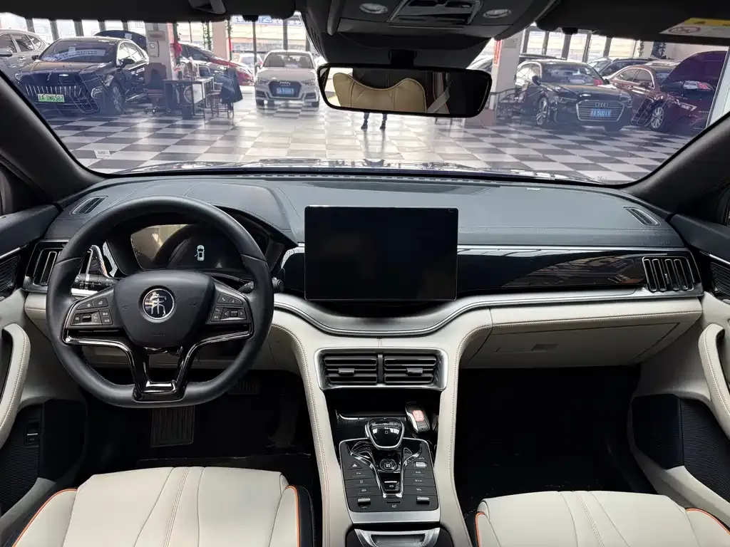 BYD PLUS New Energy 2023 из CN, фото 6