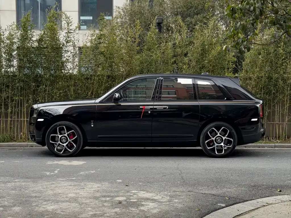 Rolls-Royce Cullinan 2021 из CN, фото 7