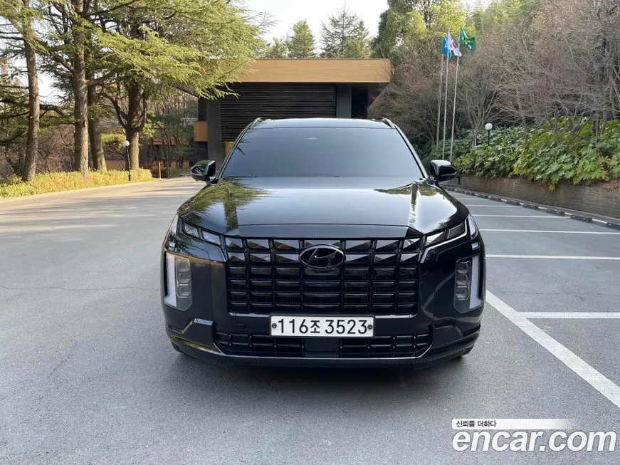 Hyundai Palisade — фото 8
