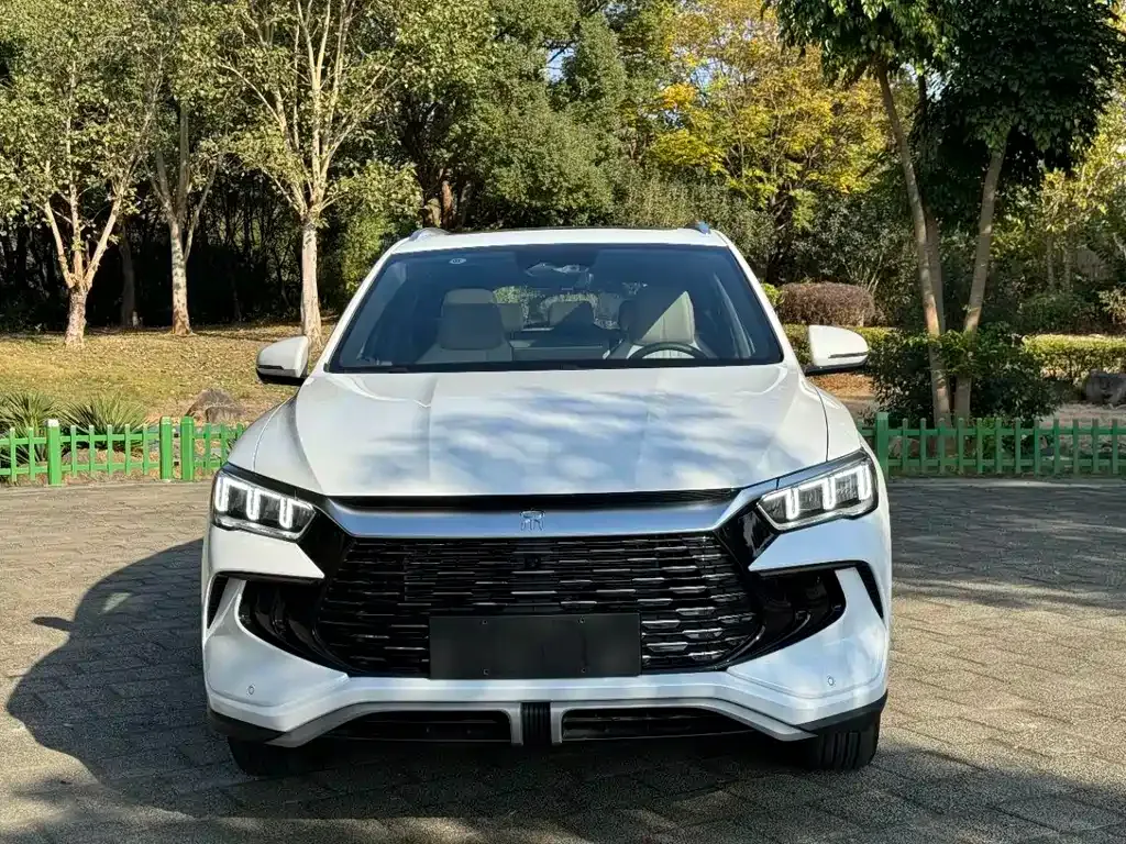 BYD Pro New Energy — фото 9