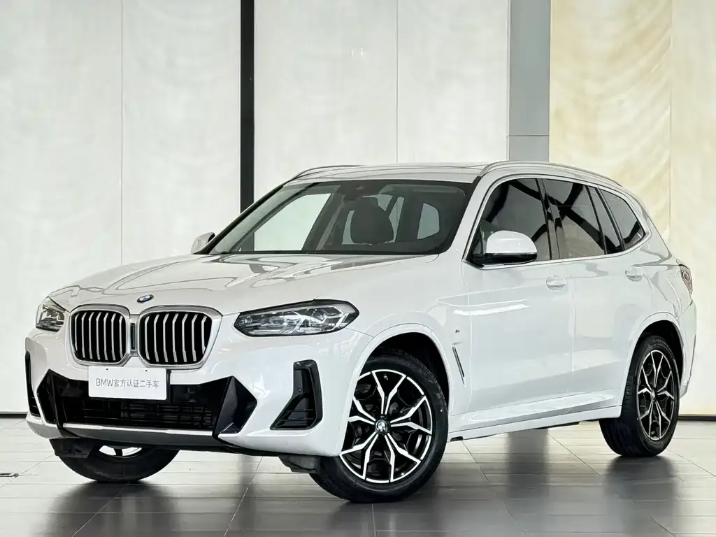 BMW X3 — фото 1