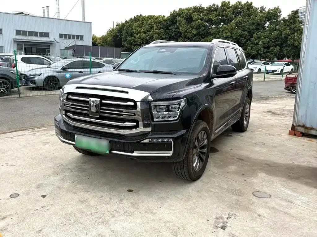 Tank 500 New Energy 2024 из CN, фото 1