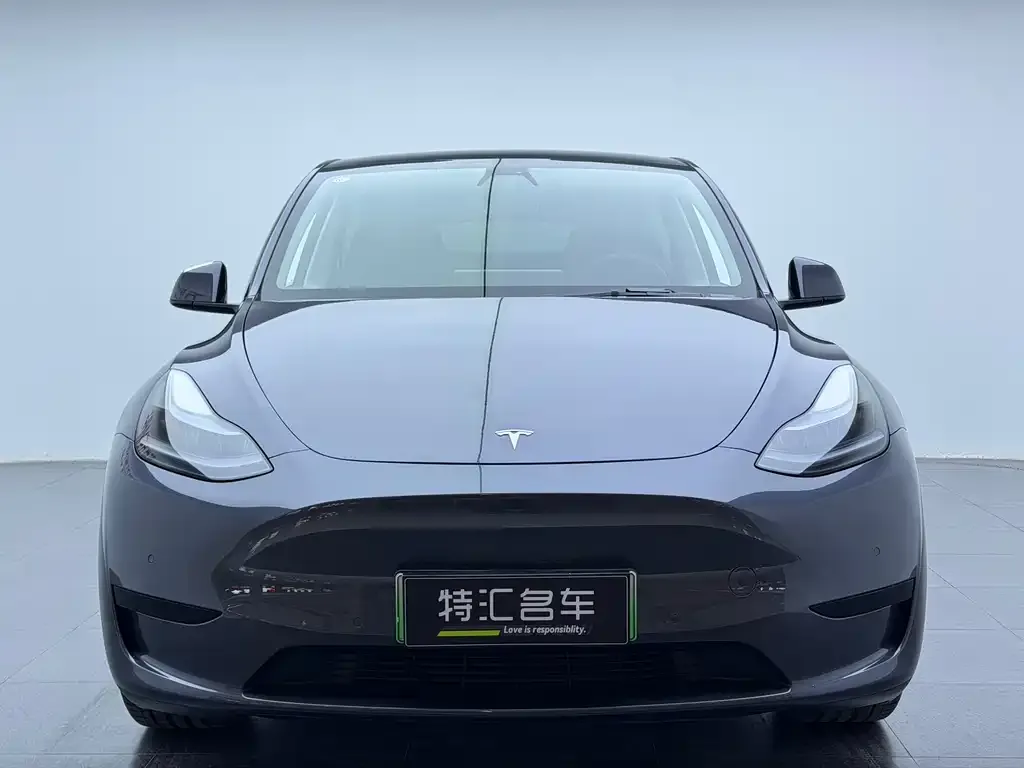 Tesla Model Y 2023 из CN, фото 2