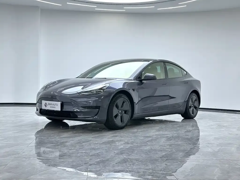 Tesla Model 3 2021 из CN, фото 1