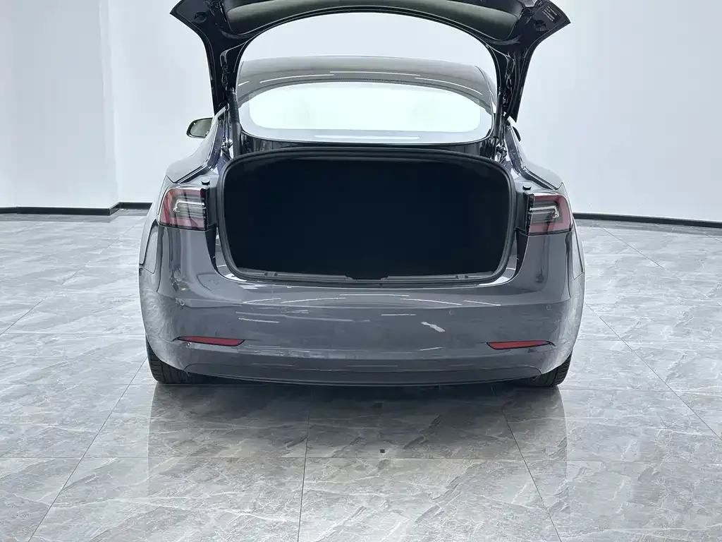 Tesla Model 3 2021 из CN, фото 10