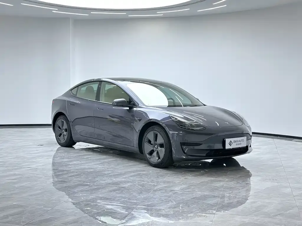 Tesla Model 3 2021 из CN, фото 5