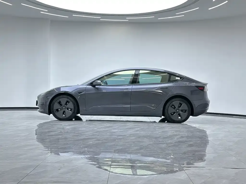 Tesla Model 3 2021 из CN, фото 2