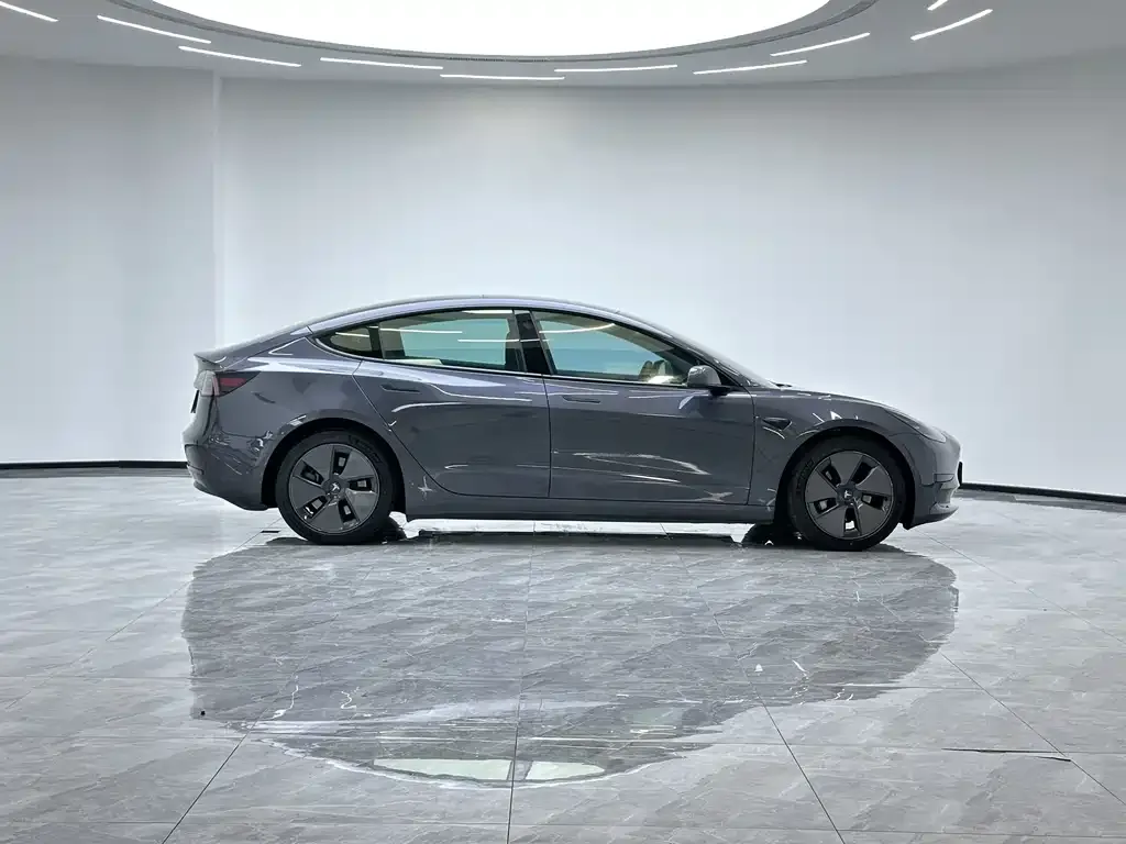 Tesla Model 3 2021 из CN, фото 3