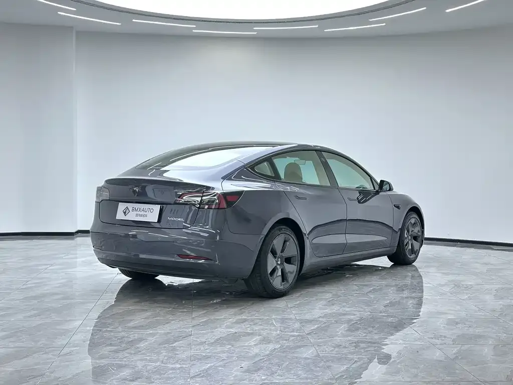 Tesla Model 3 2021 из CN, фото 7