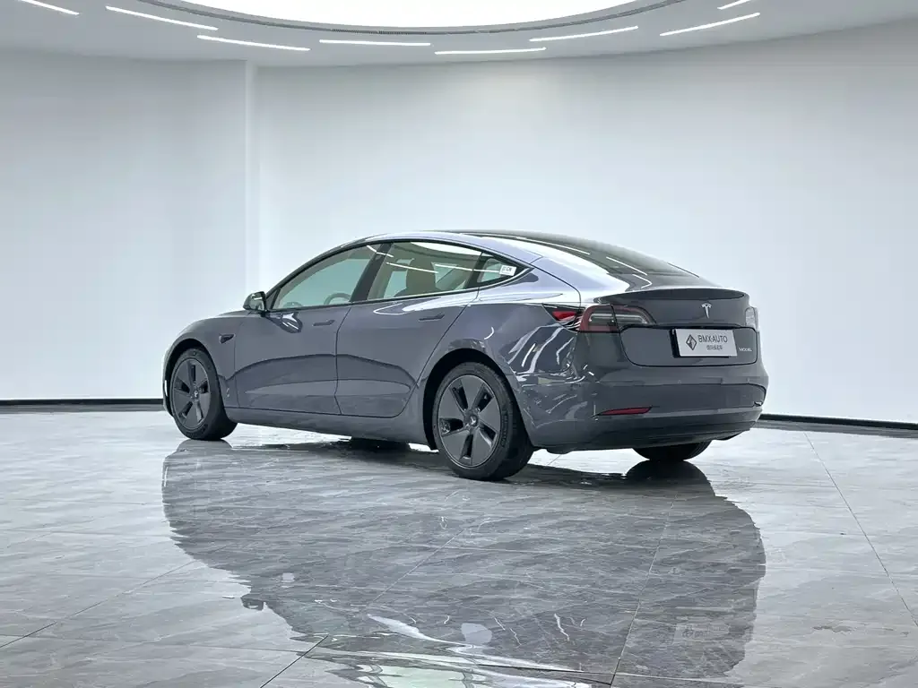 Tesla Model 3 2021 из CN, фото 9