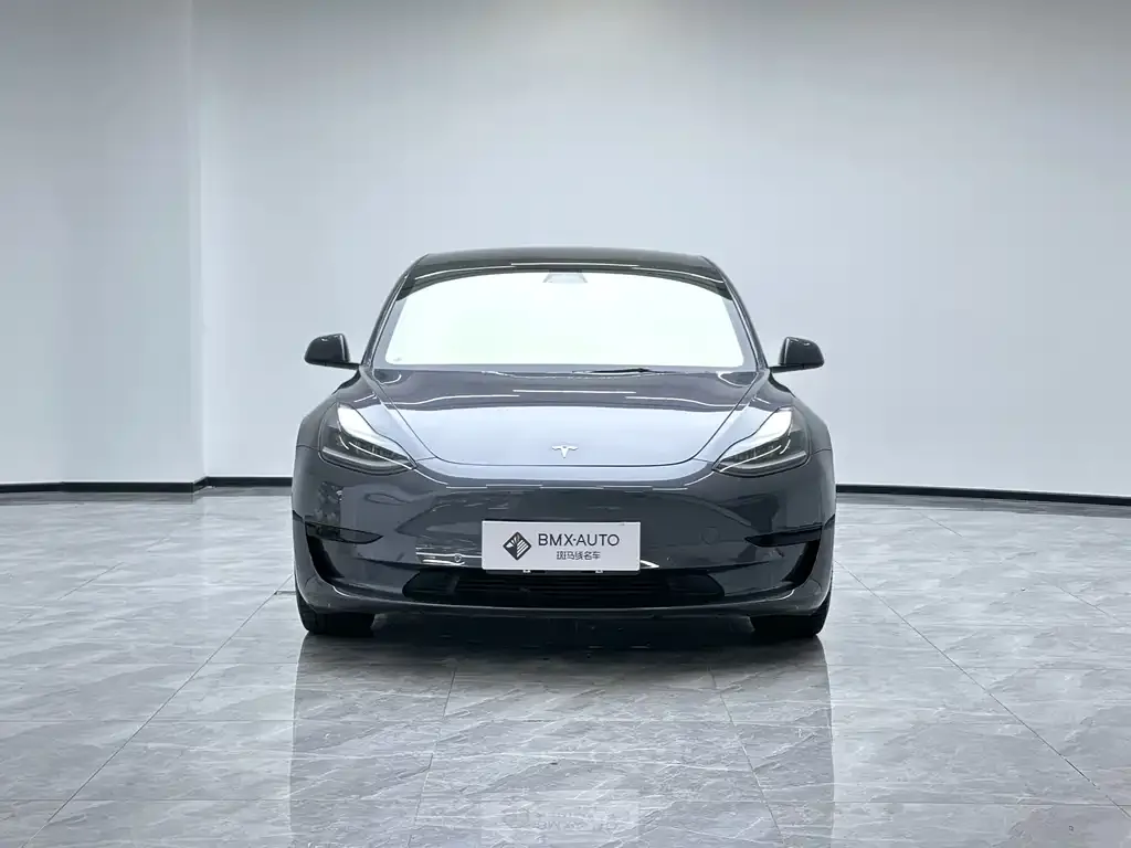 Tesla Model 3 2021 из CN, фото 4