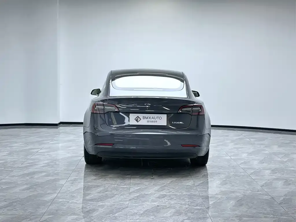 Tesla Model 3 2021 из CN, фото 6