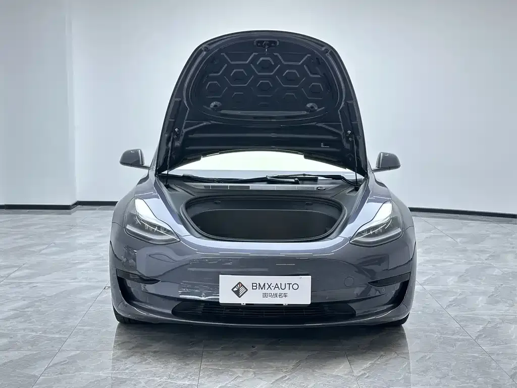 Tesla Model 3 2021 из CN, фото 8