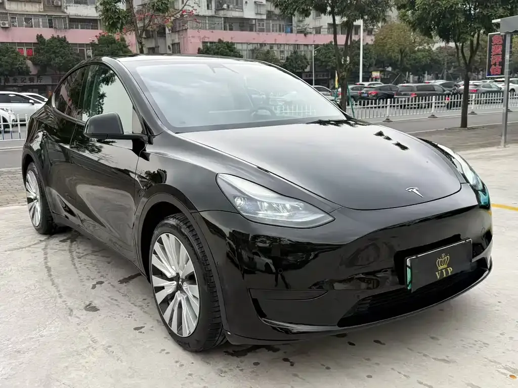 Tesla Model Y — фото 1