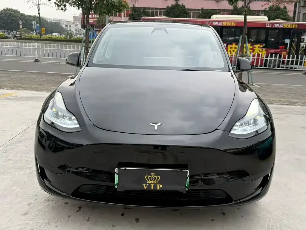 Tesla Model Y — фото 8