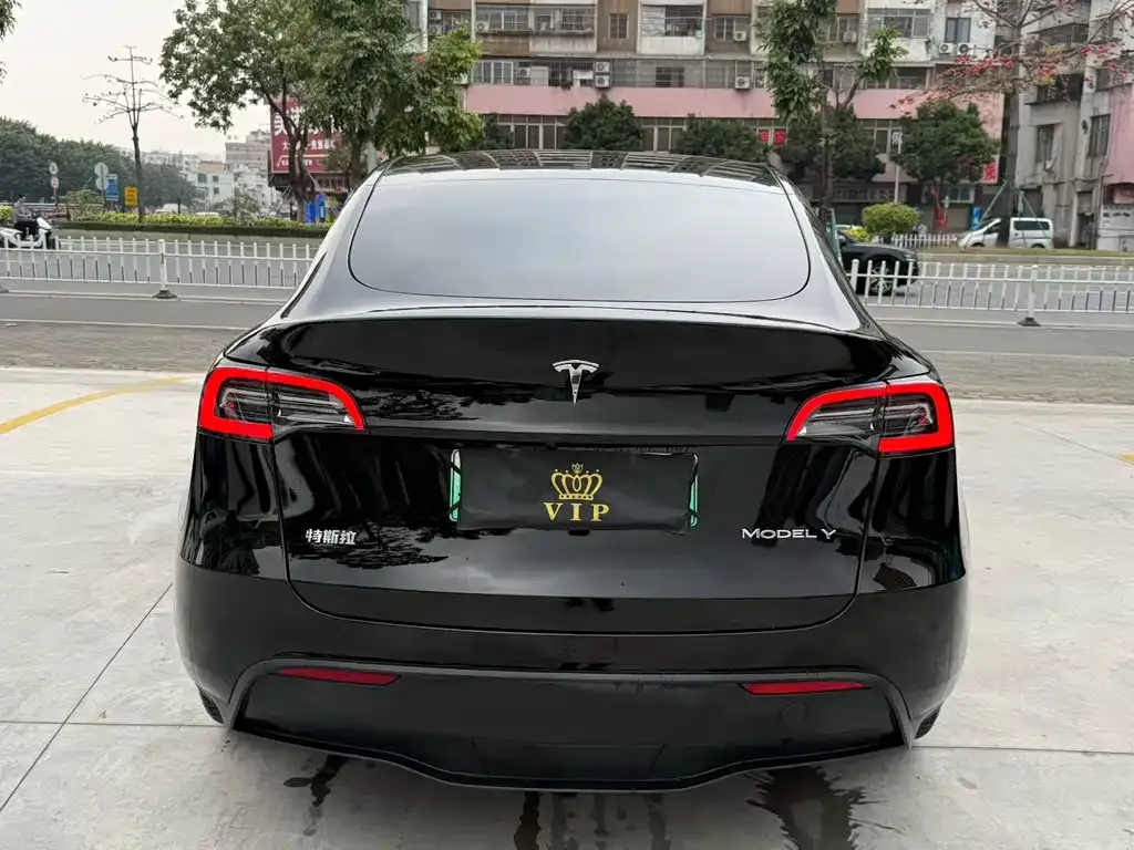 Tesla Model Y — фото 2