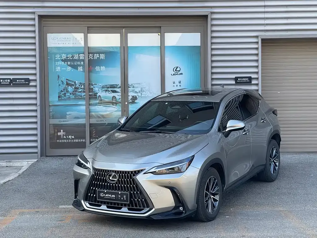 Lexus NX New Energy 2022 из CN, фото 1