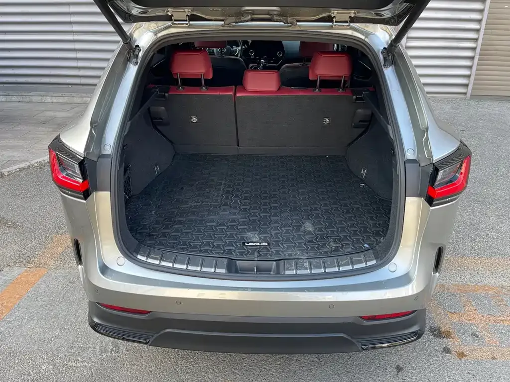 Lexus NX New Energy 2022 из CN, фото 9