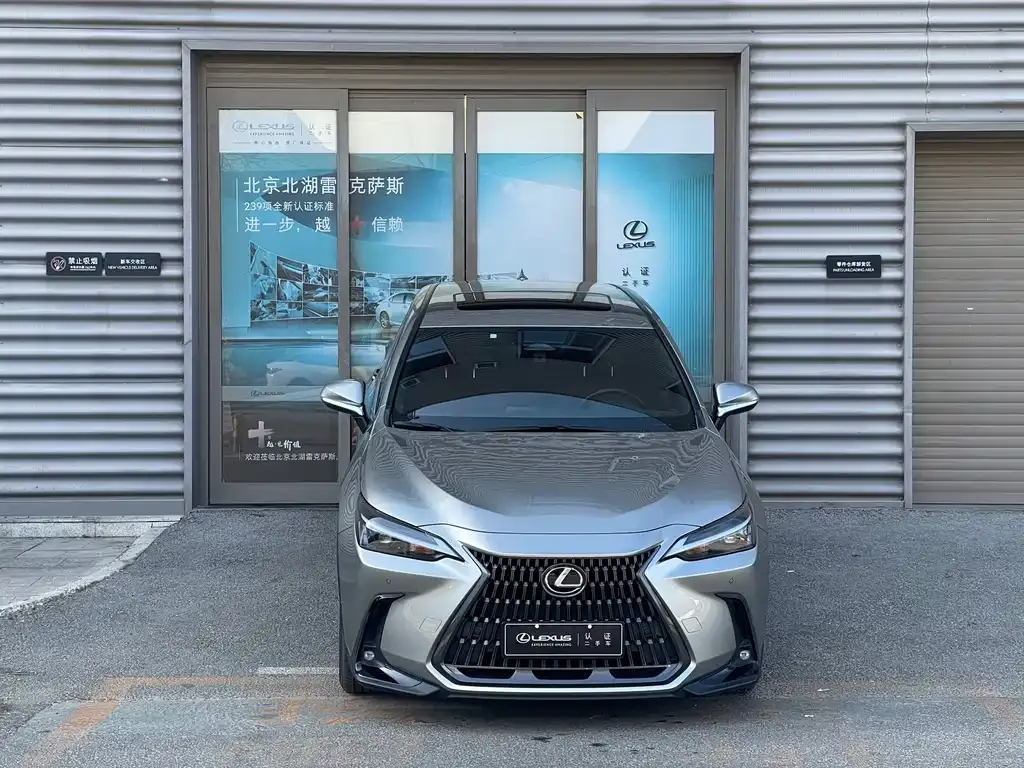 Lexus NX New Energy 2022 из CN, фото 7