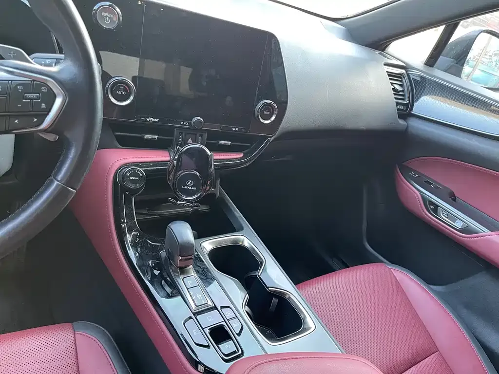 Lexus NX New Energy 2022 из CN, фото 6