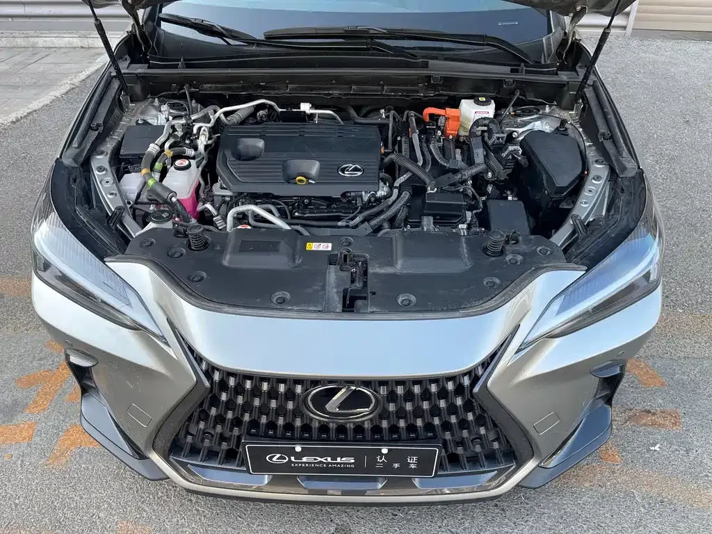 Lexus NX New Energy 2022 из CN, фото 10