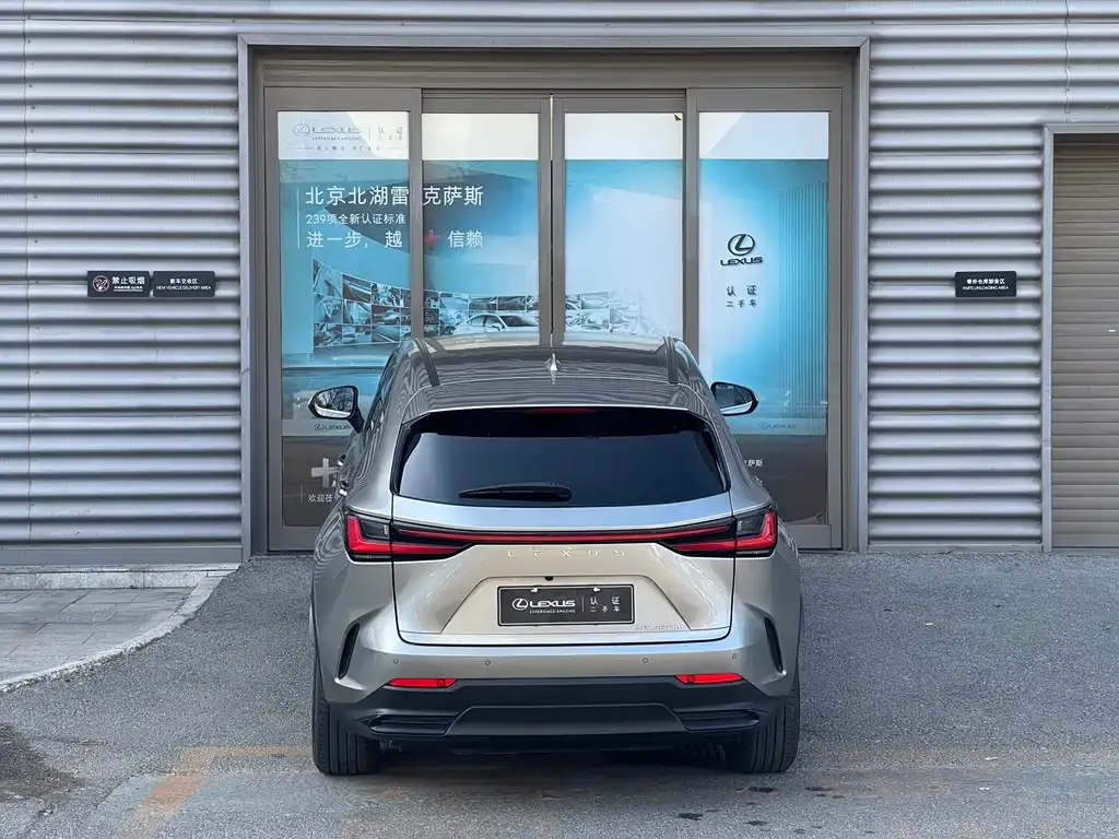 Lexus NX New Energy 2022 из CN, фото 8