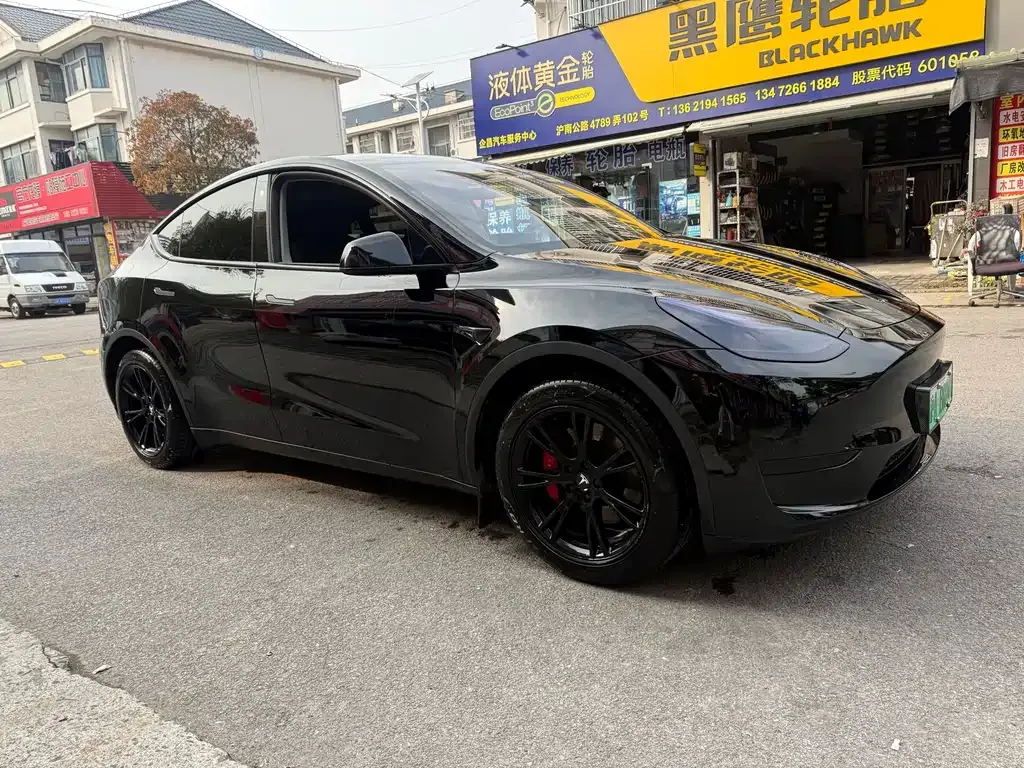 Tesla Model Y 2023 из CN, фото 6