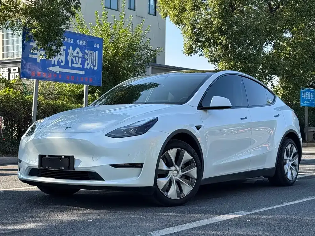 Tesla Model Y — фото 1