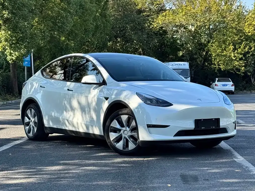 Tesla Model Y — фото 7