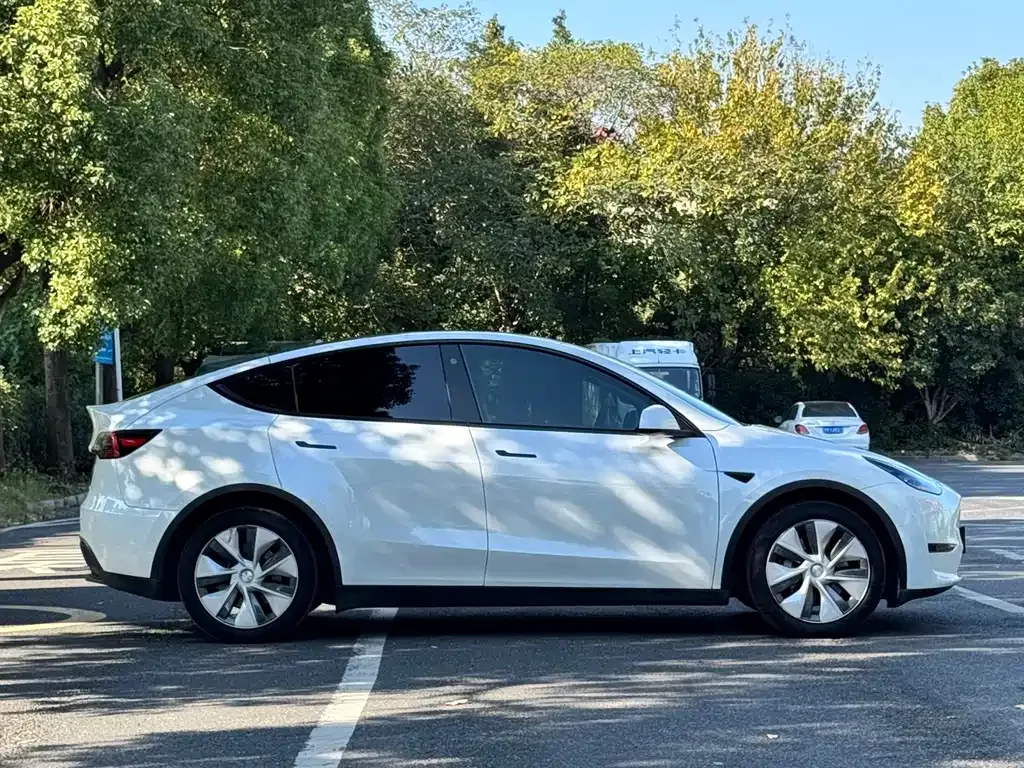 Tesla Model Y — фото 10