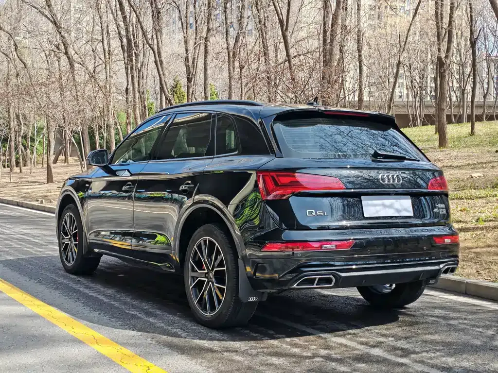 Audi Q5L — фото 8