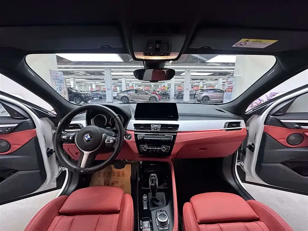 BMW X2 2021 из CN, фото 2