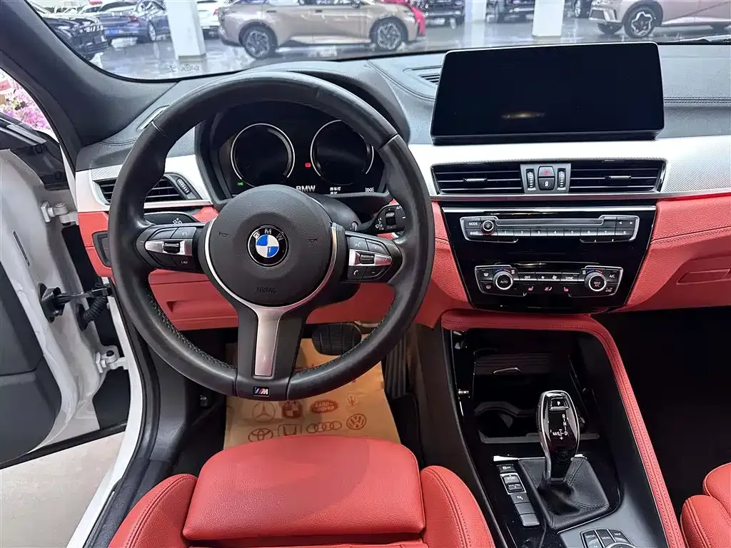 BMW X2 2021 из CN, фото 10