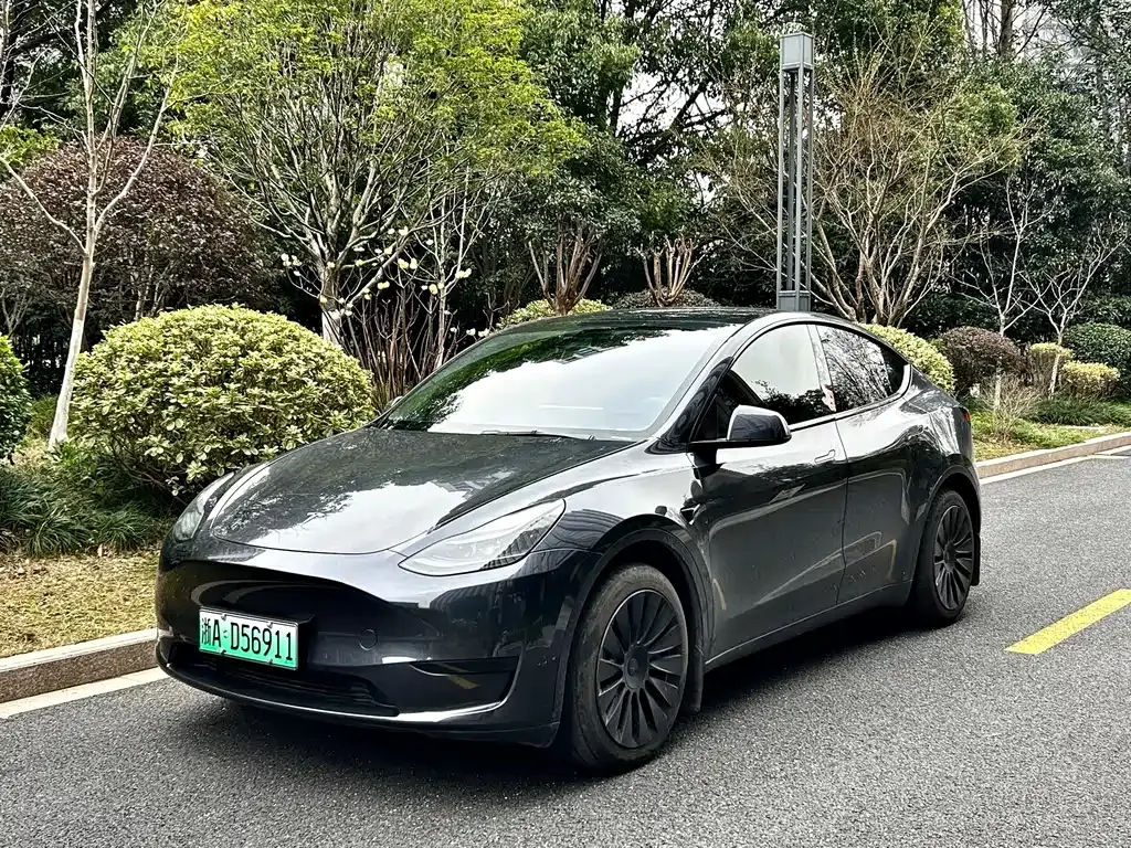 Tesla Model Y — фото 1