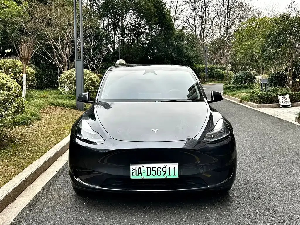 Tesla Model Y — фото 10
