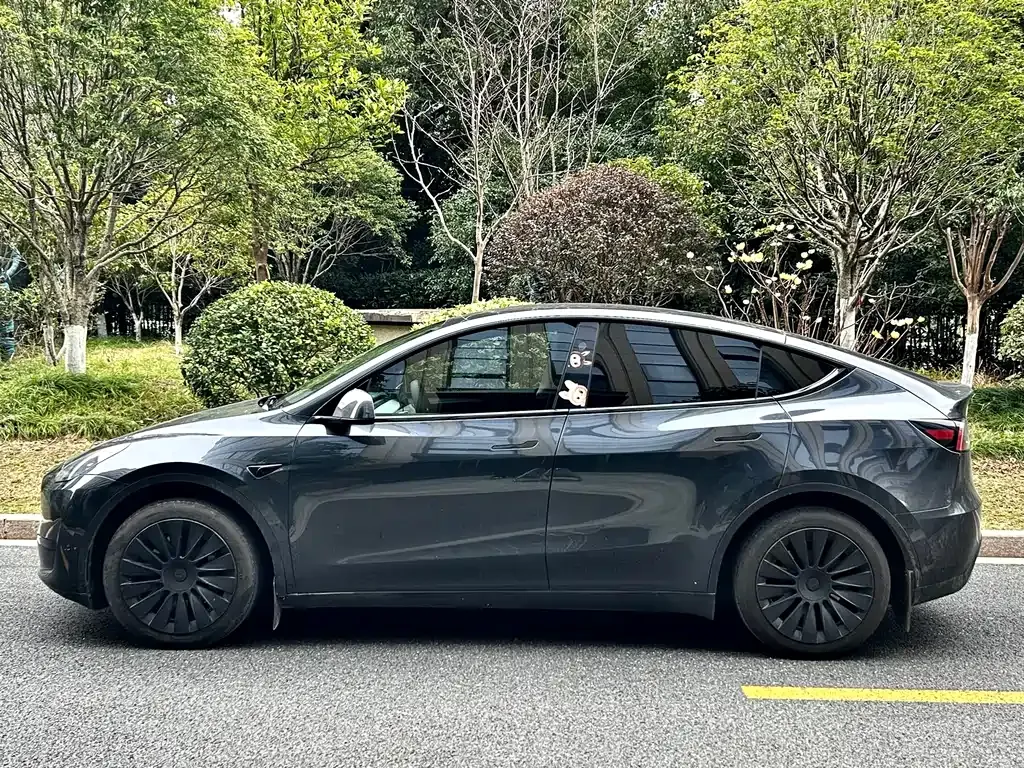 Tesla Model Y — фото 7