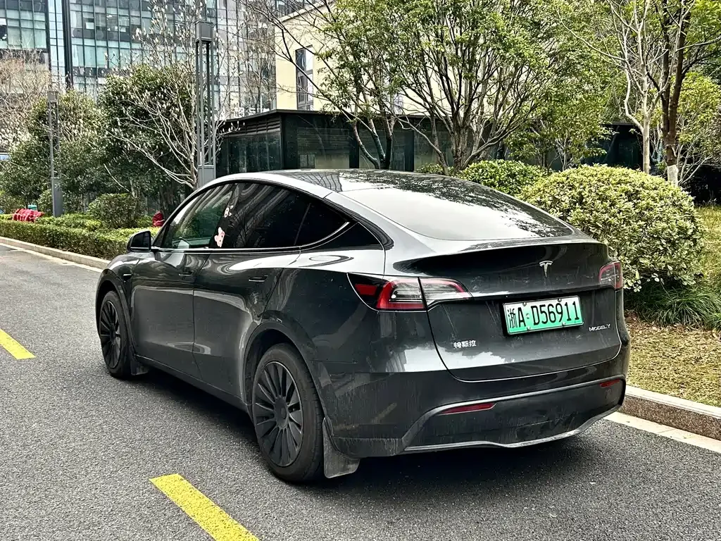Tesla Model Y — фото 6