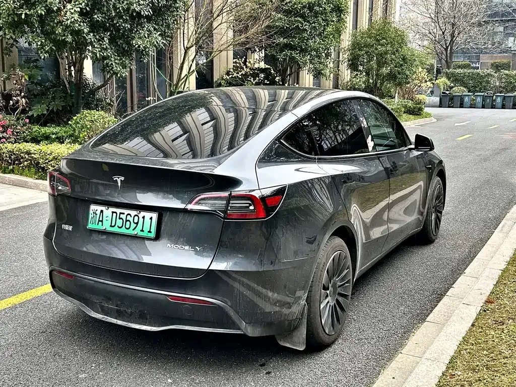 Tesla Model Y — фото 9