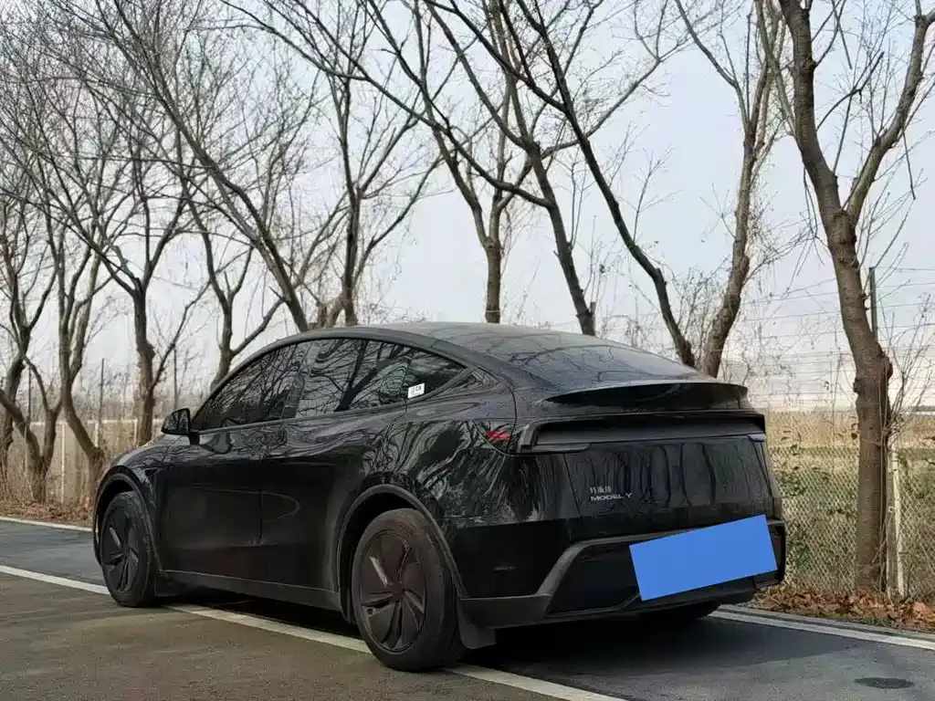 Tesla Model Y — фото 3