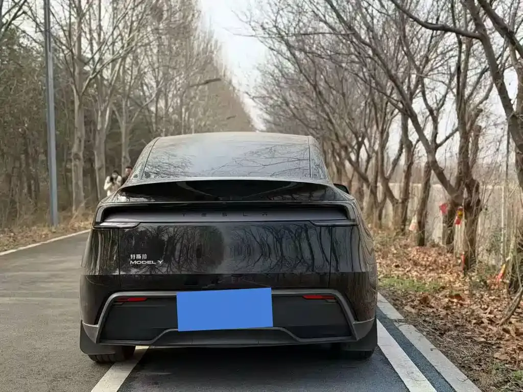 Tesla Model Y — фото 7