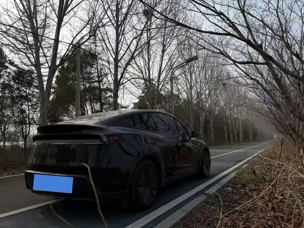 Tesla Model Y — фото 8