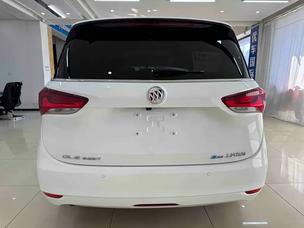 Buick GL6 2022 из CN, фото 5