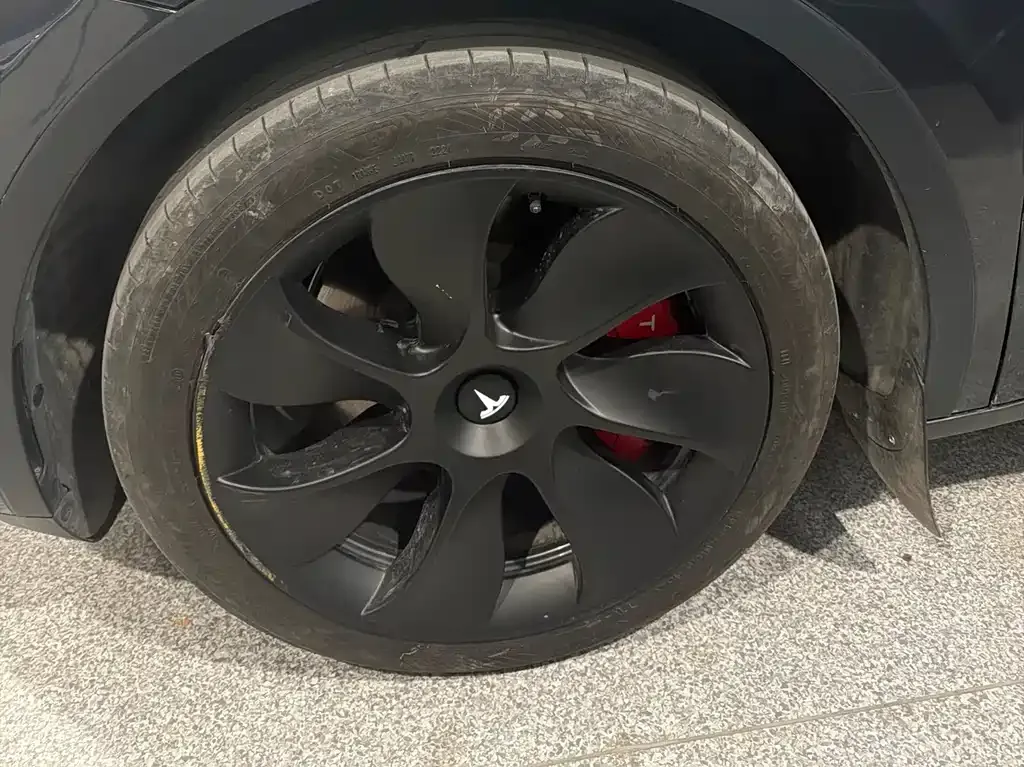 Tesla Model Y — фото 6